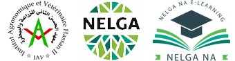 NELGA-E-Learning